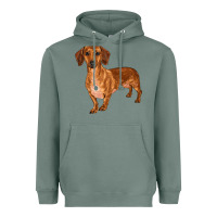 Sage dachshund Heavyweight Hoodie - RanaPortraitStore