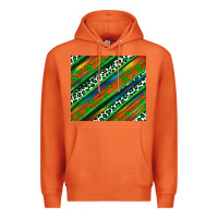 Carrot st patricks day leopard rainbow Premium Hoodie - Artiststas