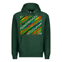 Sports Green st patricks day leopard rainbow Premium Hoodie - Artiststas