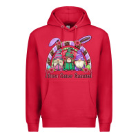 Cardinal happy easter gnomies rainbow Premium Hoodie - Artiststas