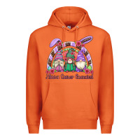 Carrot happy easter gnomies rainbow Premium Hoodie - Artiststas