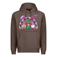 Coffee happy easter gnomies rainbow Premium Hoodie - Artiststas
