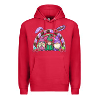 Cardinal easter gnomes rainbow Premium Hoodie - Artiststas
