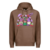 Chestnut easter gnomes rainbow Premium Hoodie - Artiststas