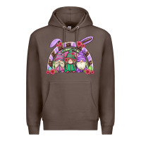 Coffee easter gnomes rainbow Premium Hoodie - Artiststas