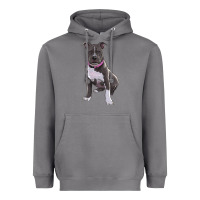 Storm pitbull Heavyweight Hoodie - RanaPortraitStore