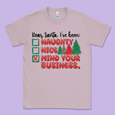 Classic Tee dear santa ive been