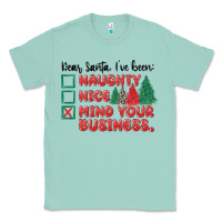 Seafoam dear santa ive been Classic Tee - MaliasSmallBusiness