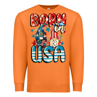 Carrot Born in USA gnomes 4th of July Premium Sweatshirt - CowGirlArtShop