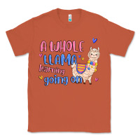 Copper a whole llama learning going on Classic Tee - MaliasSmallBusiness
