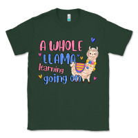 Sports Green a whole llama learning going on Classic Tee - MaliasSmallBusiness