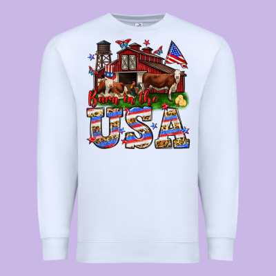 Barn In The Usa Premium Sweatshirt Designed By Neo Western