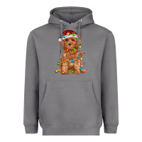 Storm toy poodle with christmas lights Heavyweight Hoodie - RanaPortraitStore