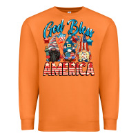 Carrot God blessed America gnomes 4th of July Premium Sweatshirt - CowGirlArtShop