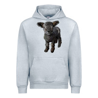 Heather Grey southdown baby sheep Urban Hoodie - LillyAllenDesigns