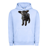 Pigment Grape Ice southdown baby sheep Urban Hoodie - LillyAllenDesigns