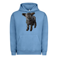 Pigment Pebble Blue southdown baby sheep Urban Hoodie - LillyAllenDesigns
