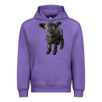 Tulip southdown baby sheep Urban Hoodie - LillyAllenDesigns