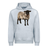 Heather Grey suffolk ewe Urban Hoodie - BarkalooDesign
