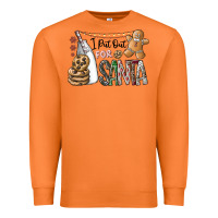 Carrot i put out for santa Premium Sweatshirt - CowhideDigitalArt