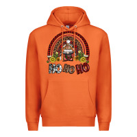 Carrot rainbow and hohoho with gnome Premium Hoodie - AdoDesignShop