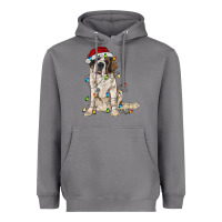 Storm saint bernard with christmas lights Heavyweight Hoodie - RanaPortraitStore