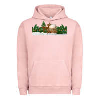 Pigment Salmon Christmas cookie jar Urban Hoodie - Jasminsmagicworld