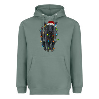 Sage christmas black angus cattle with lights Heavyweight Hoodie - RanaPortraitStore