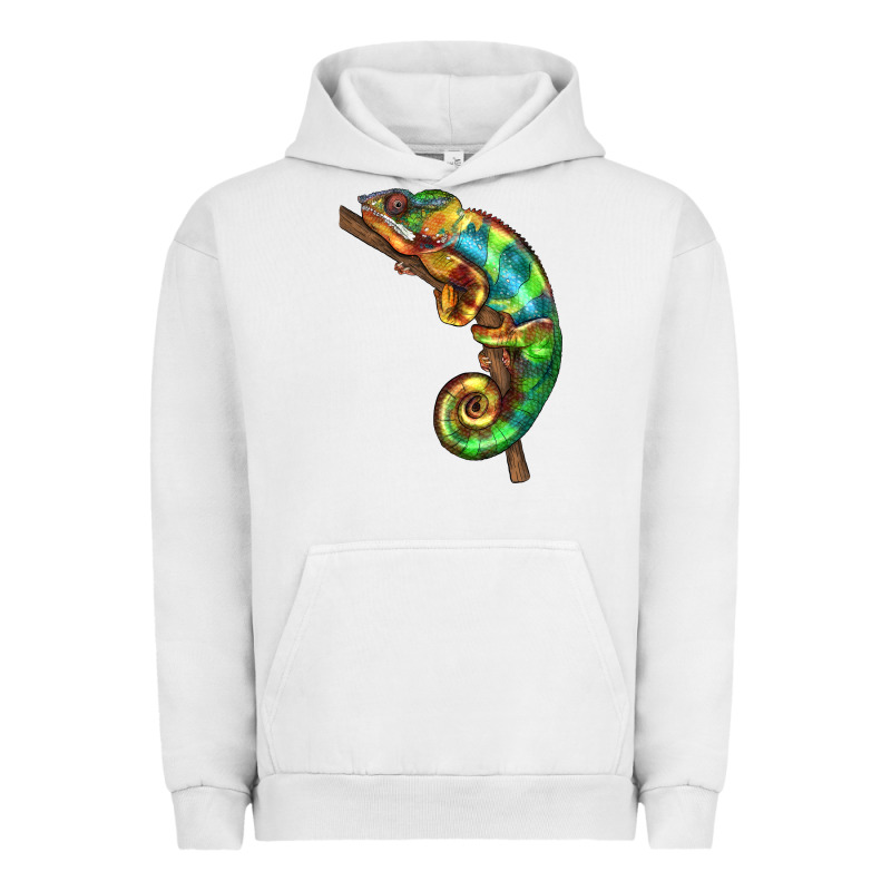 Chameleon Lizard Illustrations Urban Hoodie by LillyAllenDesigns | Teevron