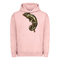 Pigment Salmon Green Chameleon Lizard Illustrations Urban Hoodie - LillyAllenDesigns