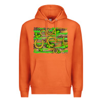 Carrot horseshoe shamrock leopard wood glitter background Premium Hoodie - Artiststas