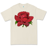 Bone Oklahoma Rose Illustrations Premium Tee - LillyAllenDesigns