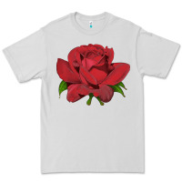 Dove Grey Oklahoma Rose Illustrations Premium Tee - LillyAllenDesigns