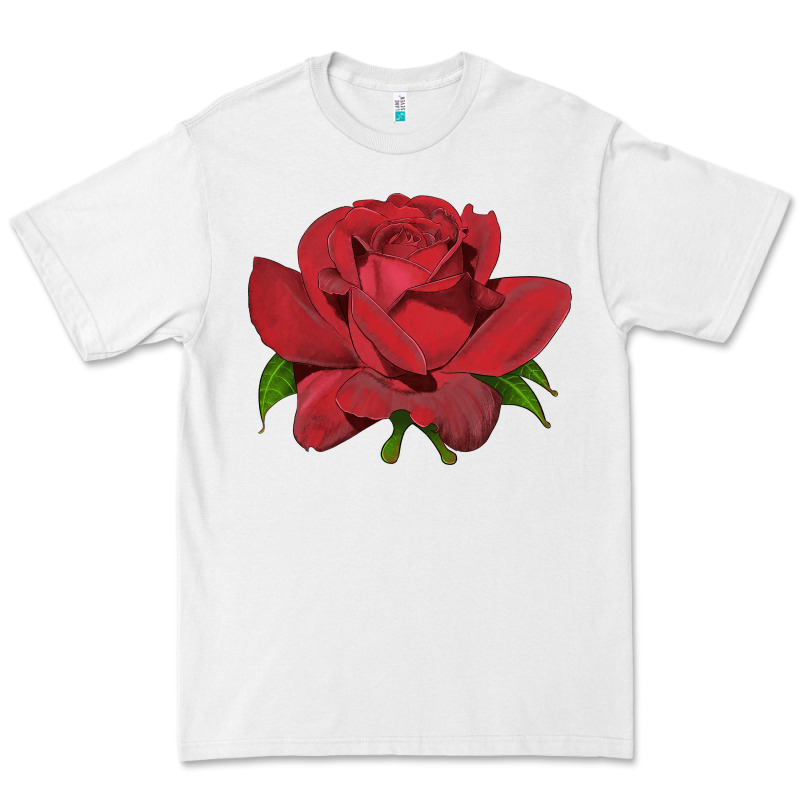 Oklahoma Rose Illustrations Premium Tee by LillyAllenDesigns | Teevron