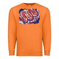 Carrot Patriotic tie dye background Premium Sweatshirt - CowGirlArtShop