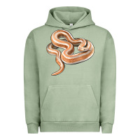 Pigment Oil Green Rosy Boa Snake Illustrations Urban Hoodie - LillyAllenDesigns