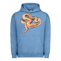 Pigment Pebble Blue Rosy Boa Snake Illustrations Urban Hoodie - LillyAllenDesigns