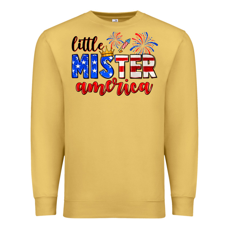 Little Mister America Premium Sweatshirt by Neo Western | Teevron