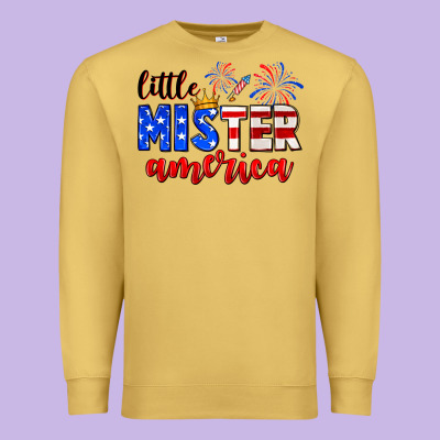 Little Mister America Premium Sweatshirt Designed By Neo Western