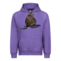 Tulip Sea Lion Illustrations Urban Hoodie - LillyAllenDesigns