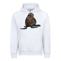 White Sea Lion Illustrations Urban Hoodie - LillyAllenDesigns