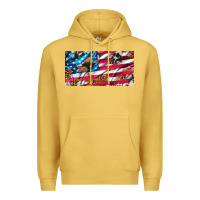 Antique Gold usa flag and leopard with wood license plate Premium Hoodie - Artiststas