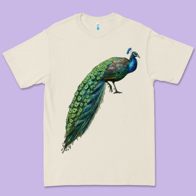 Peacock Premium Tee Designed By Lillyallendesigns