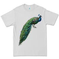 Dove Grey Peacock Premium Tee - LillyAllenDesigns