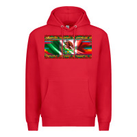 Mexico Flag Serape Roses Leopard And Glitter Licanse Plate Premium Hoodie | Teevron