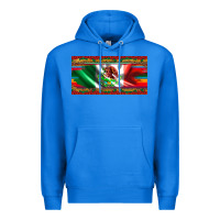 True Royal mexico flag serape roses leopard and glitter licanse plate Premium Hoodie - Artiststas