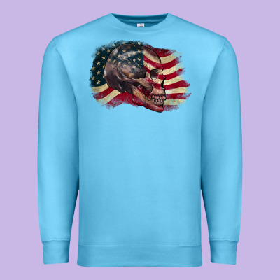 Red White Rawr 4th Of July Premium Sweatshirt Designed By Cowgirlartshop