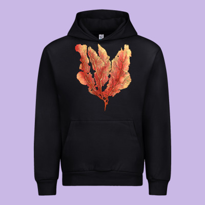 Pink Venus Fan Sea Coral Urban Hoodie Designed By Lillyallendesigns