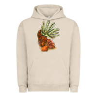Pigment French Oak Coral Reef Urban Hoodie - LillyAllenDesigns
