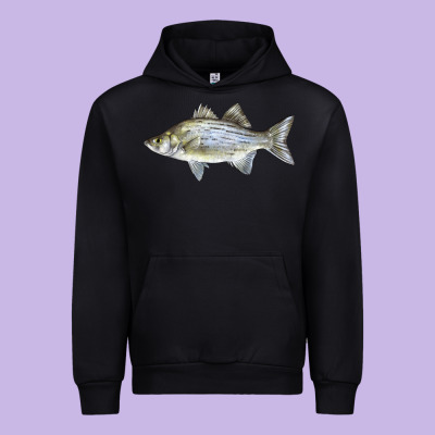 White Bass Fish Illustrations Urban Hoodie Designed By Lillyallendesigns